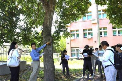 媒體報導-日本樹木醫來台指導勤益科大與中市府 樹木健康診斷