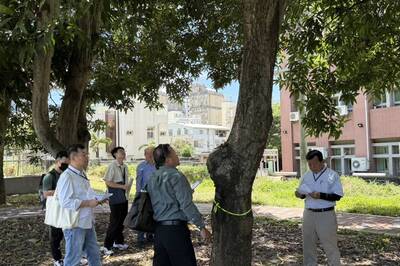 媒體報導-勤益科大舉辦「日本樹木醫制度及樹木診斷研習」培育景觀人才